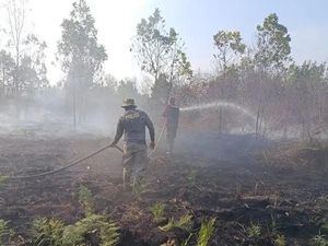 Polisi Soal Karhutla di Kubu Raya: Tak Ada Toleransi bagi Pembakar Lahan