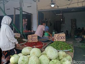 Harga Cabai Merah di Medan Anjlok Jadi Rp 10 Ribu per Kilo, Penjual: Turun Kali