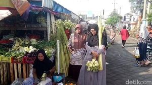 Warga Pasuruan Mulai Berburu Janur untuk Lebaran Ketupat