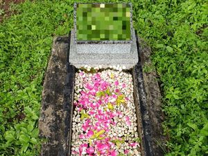 6 Fakta Jastip Nyekar Jadi Kurir Rindu Perantau di Surabaya