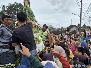Serunya Warga Boja Kendal Berebut Gunungan di Kirab Syawalan