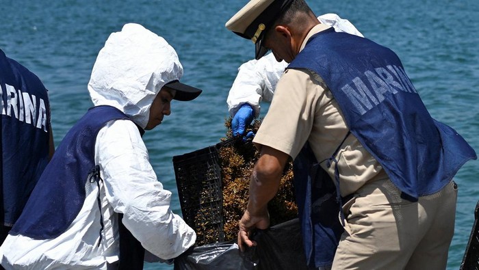 Hamparan Tar Hitam yang Mengancam Ekosistem