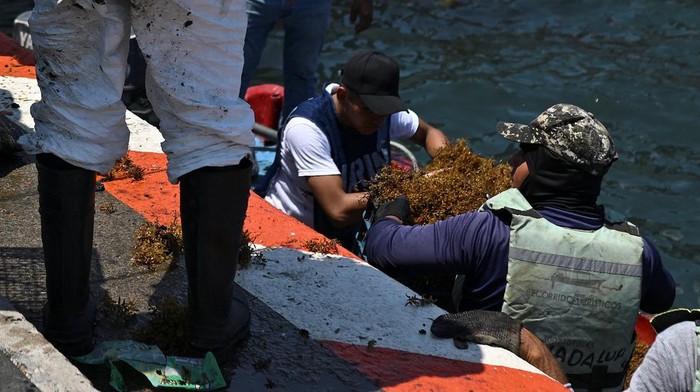 Kerja Keras Pembersihan Manual di Tengah Kekhawatiran