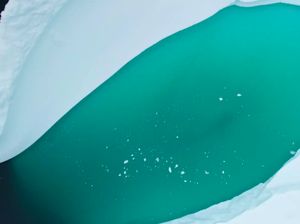 Antartika Terlihat Menghijau dari Luar Angkasa, Pertanda Apa?