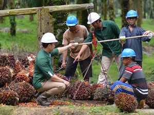 Astra Agro Lestari Siapkan Empat Pilar Dukung  Pembangunan Berkelanjutan