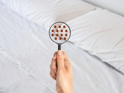 Kanada Bersiap Hadapi Gelombang Kutu Beracun dari AS