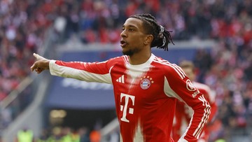 Soal Olise, Bos Bayern Tutup Pintu buat Madrid