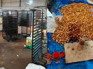 Digerebek Polisi, Pabrik Ini Ketahuan Produksi Kue dari Telur Busuk