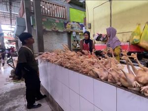 Harga Ayam di Lamongan Masih Tinggi Usai Lebaran, Tembus Segini