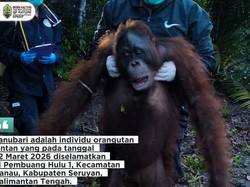 Cerita Singkat Penyelamatan Sanubari di Seruyan