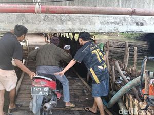 Perjuangan Warga Lewat Kolong Jembatan Saat U-Turn Pantura Ditutup
