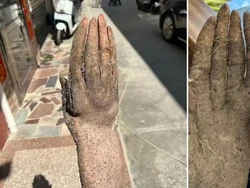 Langka dan Aneh! Ubi Bentuk Tangan Manusia Ini Ditawar Rp 19 Juta