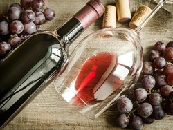 Temuan Biji Anggur Kuno di Toilet Ungkap Sejarah Wine Pinot Noir