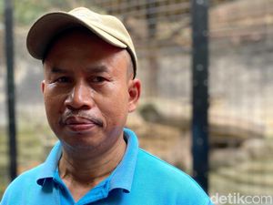 Cerita Keeper Ditinggal Dua Kembang Buruan Huru dan Hara