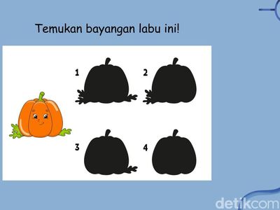 Tes Konsentrasi dan Fokus, Bisakah Menemukan Bayangan yang Sesuai?