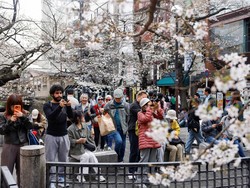 Mulai Juli Jepang Naikkan Pajak Wisatawan, Jadi Rp 322 Ribu per Orang