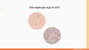 Harusnya Gampang Kalau Tak Buta Warna, Angka Berapa Saja yang Tersembunyi?