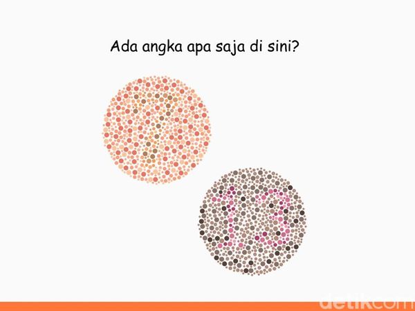 Harusnya Gampang Kalau Tak Buta Warna, Angka Berapa Saja yang Tersembunyi?