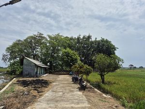 Desa Jungsemi Kendal, Didirikan Prajurit Loyal Sultan Agung untuk Persembunyian