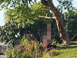 Warga Tangsel Ditemukan Tewas Tergantung di Bukit Pedau Lombok