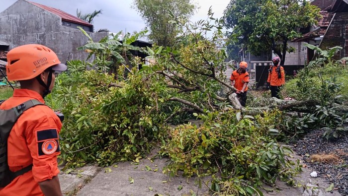 Ngerinya Angin Puting Beliung di Kudus Rusak 221 Rumah Warga Angin puting beliung menerjang di wilayah Kecamatan Undaan Kudus, Senin (30/3/2026).
