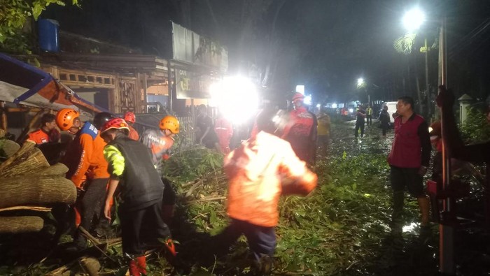 Cuaca Ekstrem di Kota Malang Menyebabkan Pohon Tumbang dan Banjir Menggenang