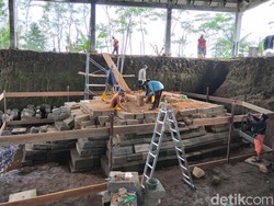 Memulihkan 14 Lapis Candi Losari yang Terkubur Lahar Merapi