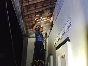 Tim OTT Damkar Nganjuk Evakuasi 2 Sarang Tawon Mematikan