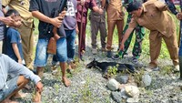 1 dari 3 Anjing Liar Serang Bocah 5 Tahun di Polman Mati Ditembak