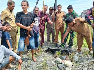 3 Anjing Liar Serang Bocah 5 Tahun di Polman, 1 Mati Ditembak Warga