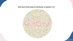 Ketajaman Mata Dibutuhkan, Selesaikan Tes Buta Warna Ini dalam 30 Detik