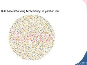 Ketajaman Mata Dibutuhkan, Selesaikan Tes Buta Warna Ini dalam 30 Detik