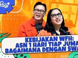 Kebijakan WFH: ASN 1 Hari Tiap Jumat, Bagaimana dengan Swasta?
