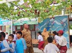 Siswa SDN 3 Ciganjeng Pangandaran Panen Anggur di Garasi Sekolah