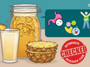 Infografis: Khasiat Tepache, Probiotik ala Meksiko dari Fermentasi Limbah Kulit Nanas