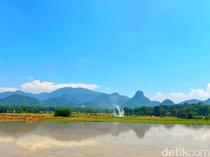 Hutan Sanggabuana Selangkah Lagi Jadi Kawasan Konservasi