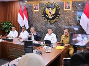 Pemerintah Kebut Pemetaan Lahan Sawah Dilindungi di 17 Provinsi
