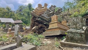 Makam Rusak Imbas Beringin Raksasa Roboh di Malang Terpaksa Dibiarkan