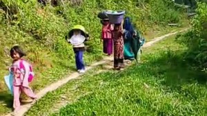 Warga Talipukki di Mamasa Tiap Hari Jalan Kaki 1,5 Km demi 5 Liter Air Bersih
