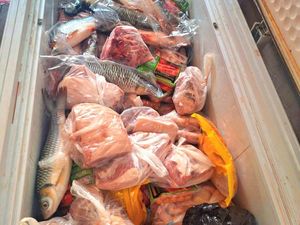 Listrik di Perbatasan Malinau Padam 4 Hari, Warga Ngeluh Daging Mulai Busuk