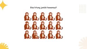 Butuh Ketelitian untuk Selesaikan Ini, Jangan Terkecoh Gambar yang Terlihat Mudah