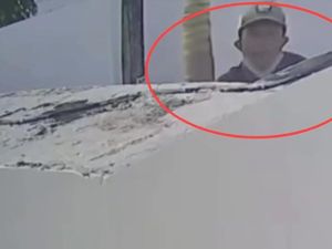 Viral Pria Bertopi Merayap Naik Pohon Bobol Vila Bule di Kuta Utara