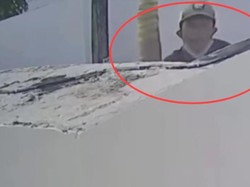 Viral Pria Bertopi Merayap Naik Pohon Bobol Vila Bule di Kuta Utara