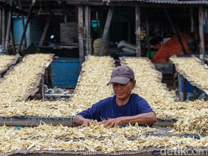 Harga Ikan Asin Melonjak Imbas Pasokan Menyusut