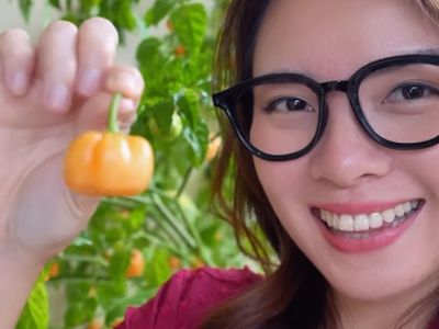 Keseruan Mgdalenaf Ajak Teman-teman Food Vlogger Cicip Cabai Magda IPB