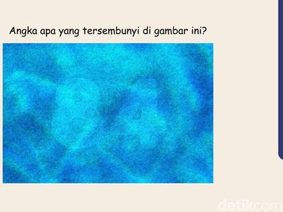 Ada Angka Tersembunyi di Dalam Warna Random Ini, Bisa Lihat?
