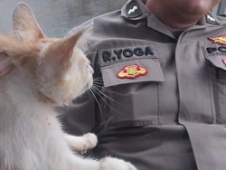 Geger Laporan Balita Kecebur Sumur di Ciputat, Ternyata Anak Kucing