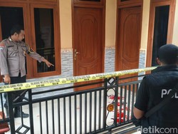 Tewasnya Balita Pamekasan hingga Monyet yang Menyerang Dibunuh Pemilik