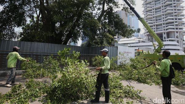 Antisipasi Pohon Tumbang di Jakarta