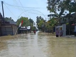 Banjir 1 Meter Rendam Desa di Demak Jateng Buntut Tanggul Jebol